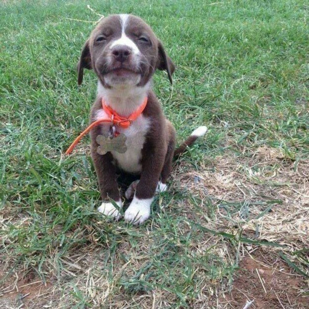 Meet your Posher, Cynthia